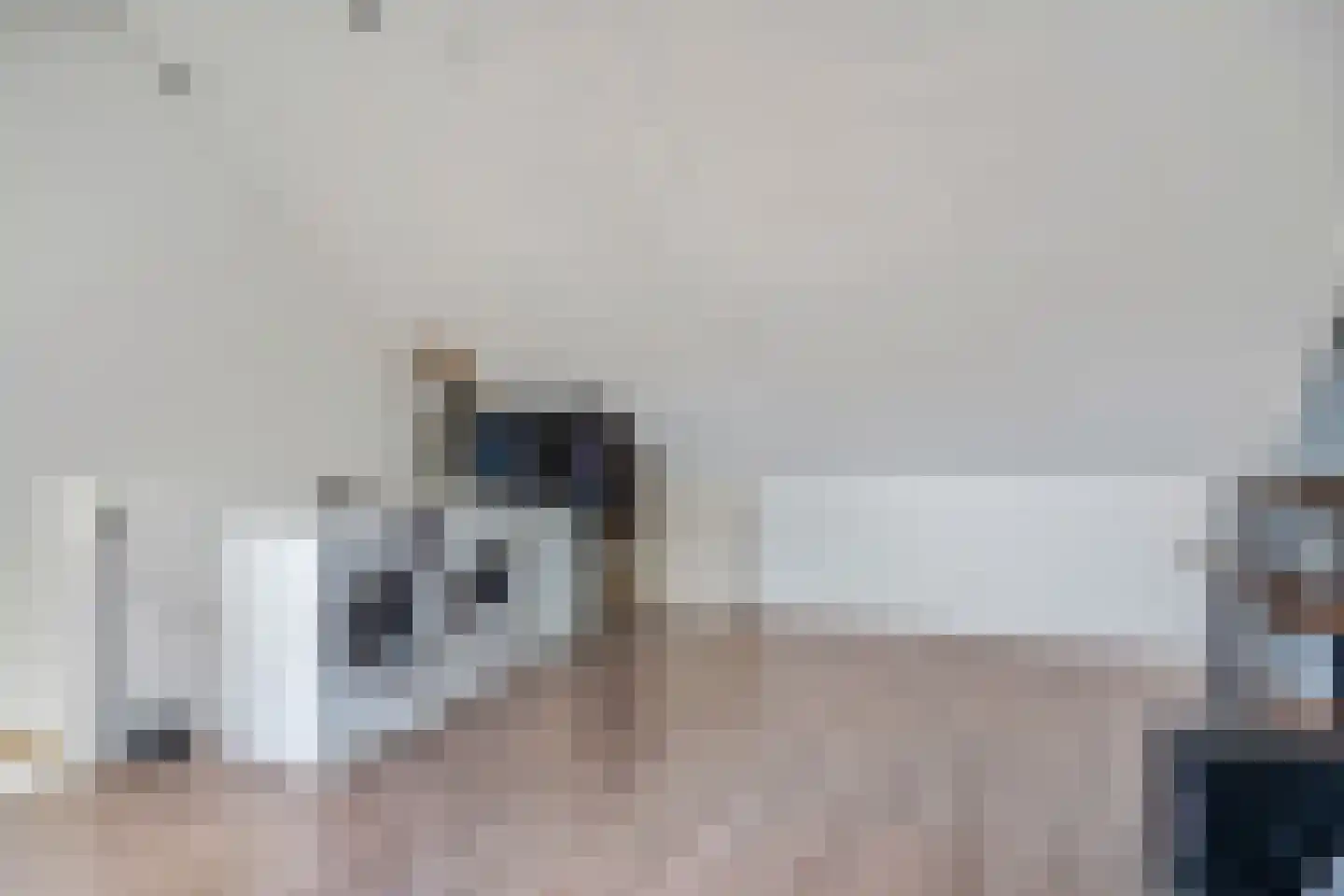 Ganzenvoet 15 Driel thumbnail 21