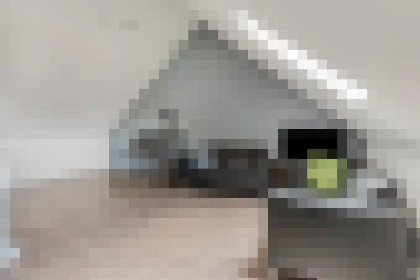 Ganzenvoet 15 Driel thumbnail 22