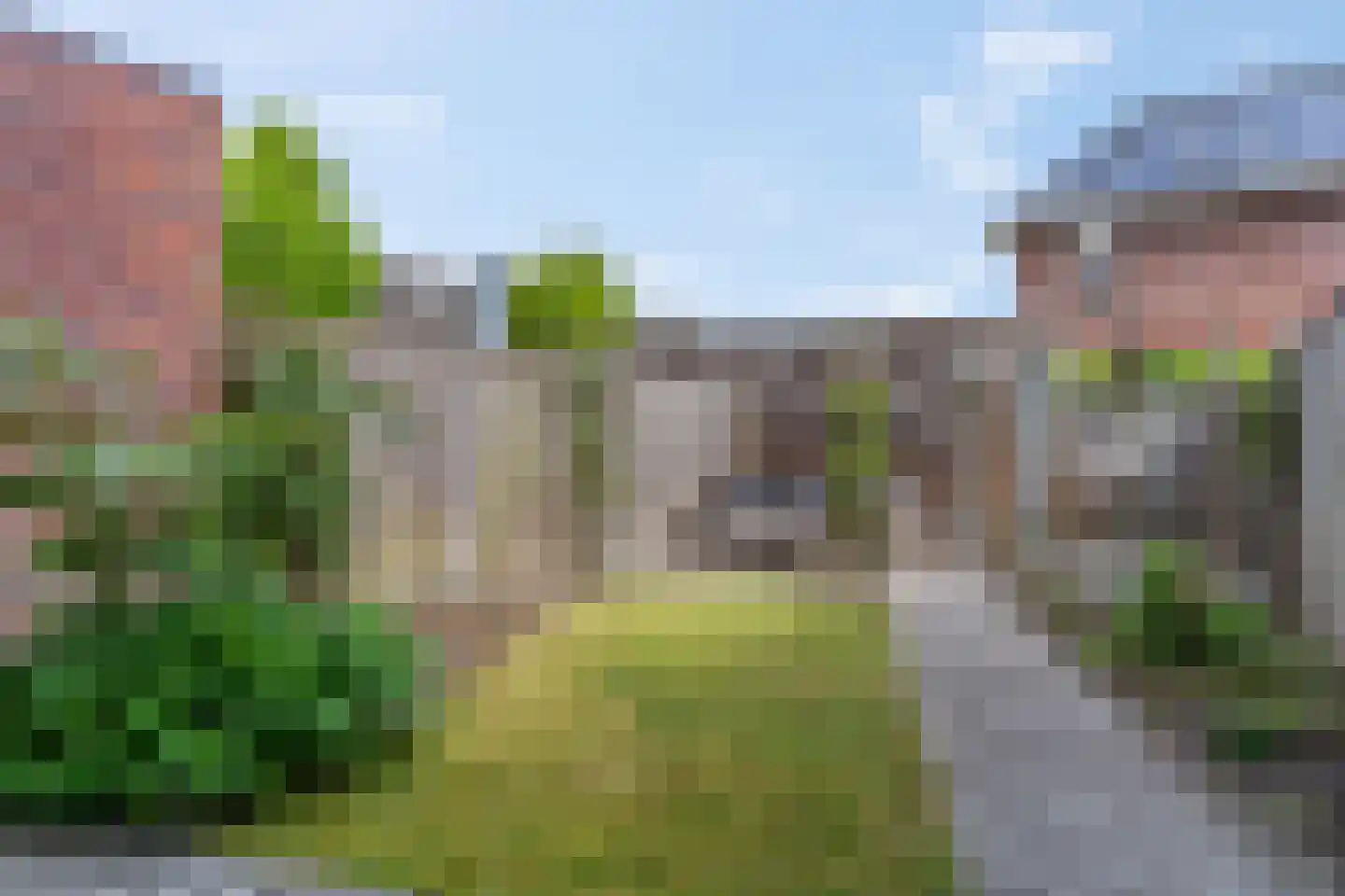 Ganzenvoet 15 Driel thumbnail 24