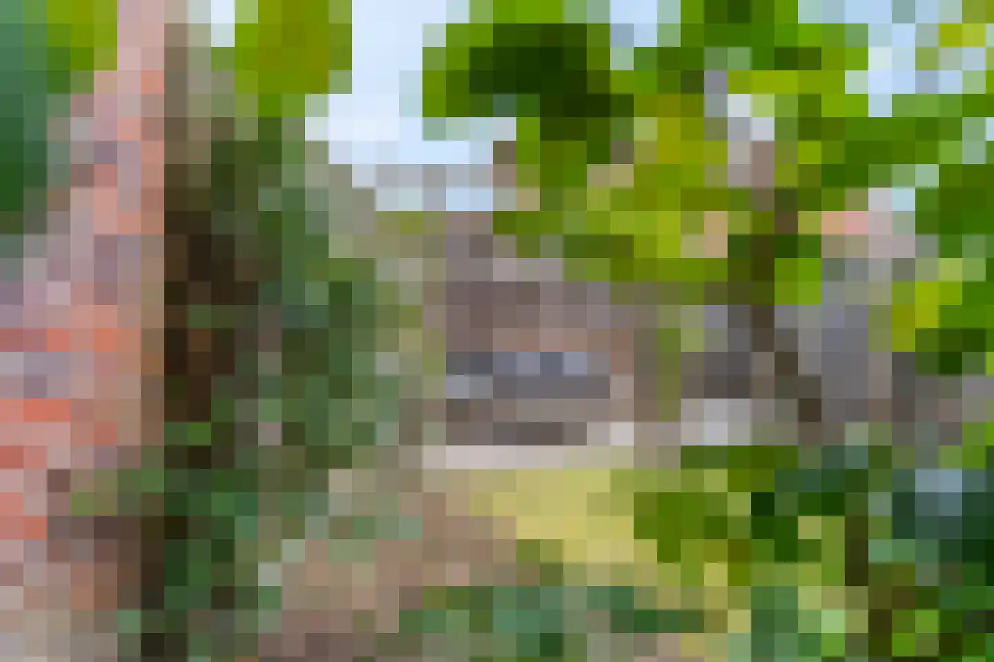 Ganzenvoet 15 Driel thumbnail 25
