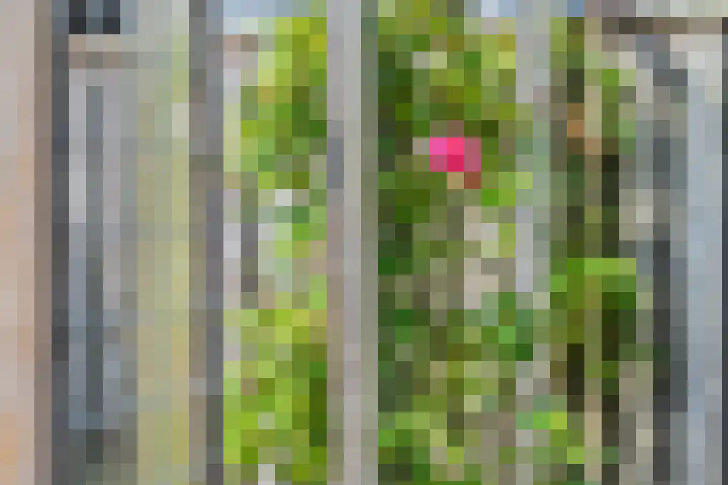 Ganzenvoet 15 Driel thumbnail 27