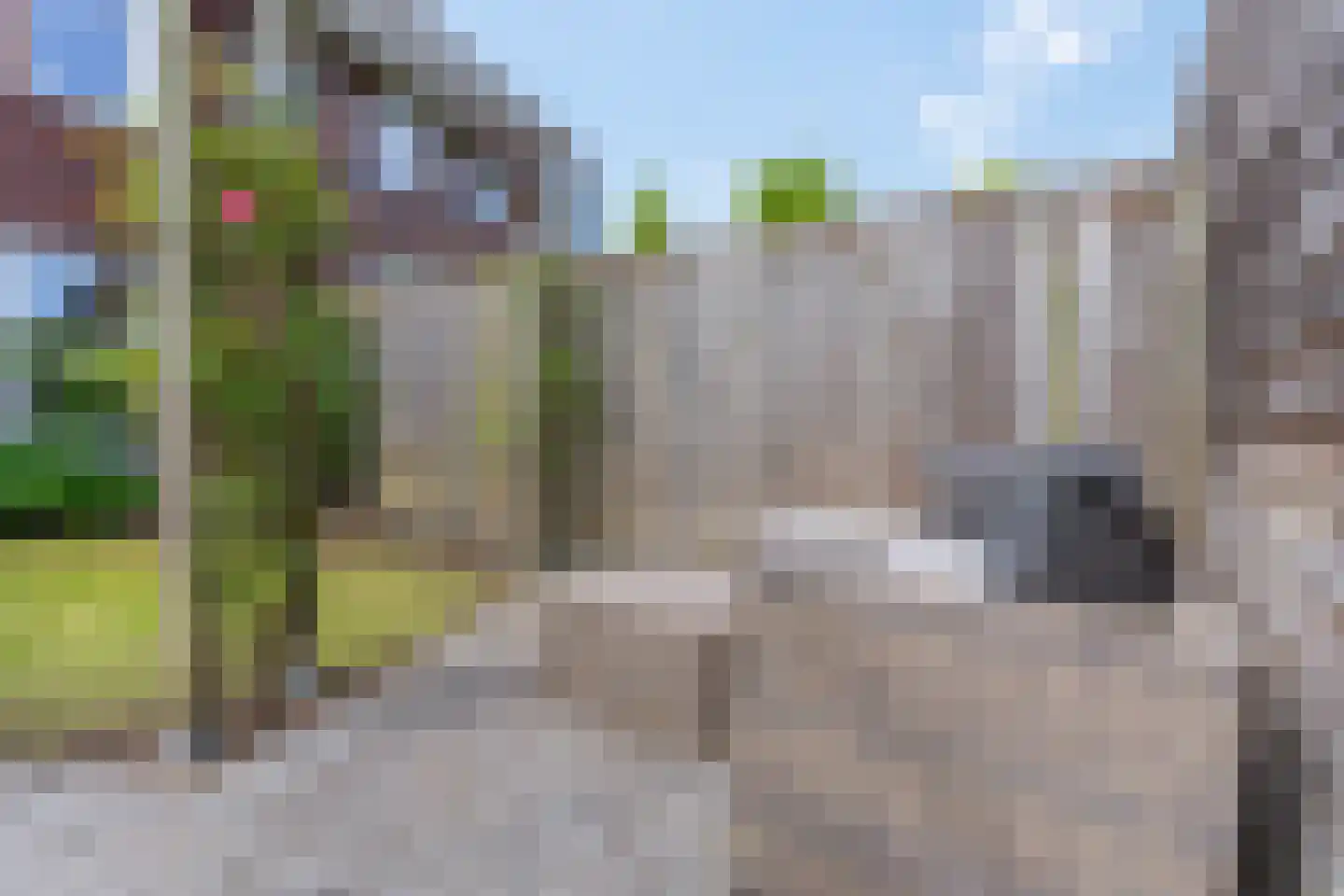 Ganzenvoet 15 Driel thumbnail 29