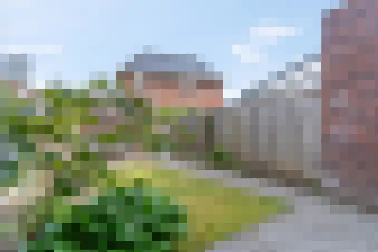 Ganzenvoet 15 Driel foto 3
