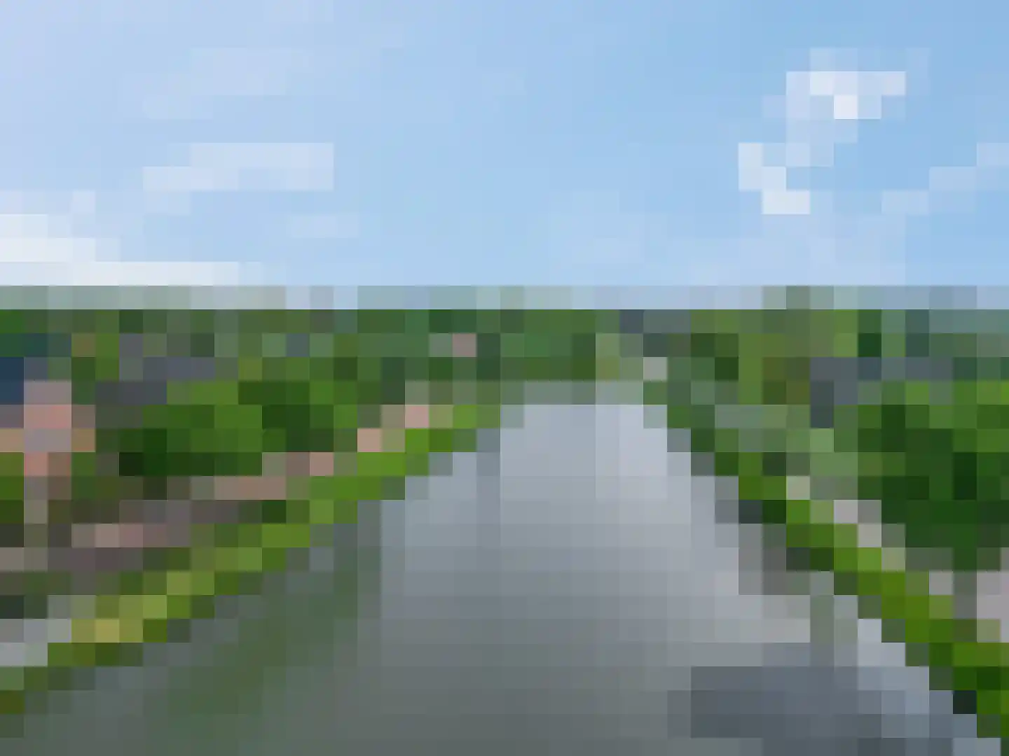 Ganzenvoet 15 Driel thumbnail 34
