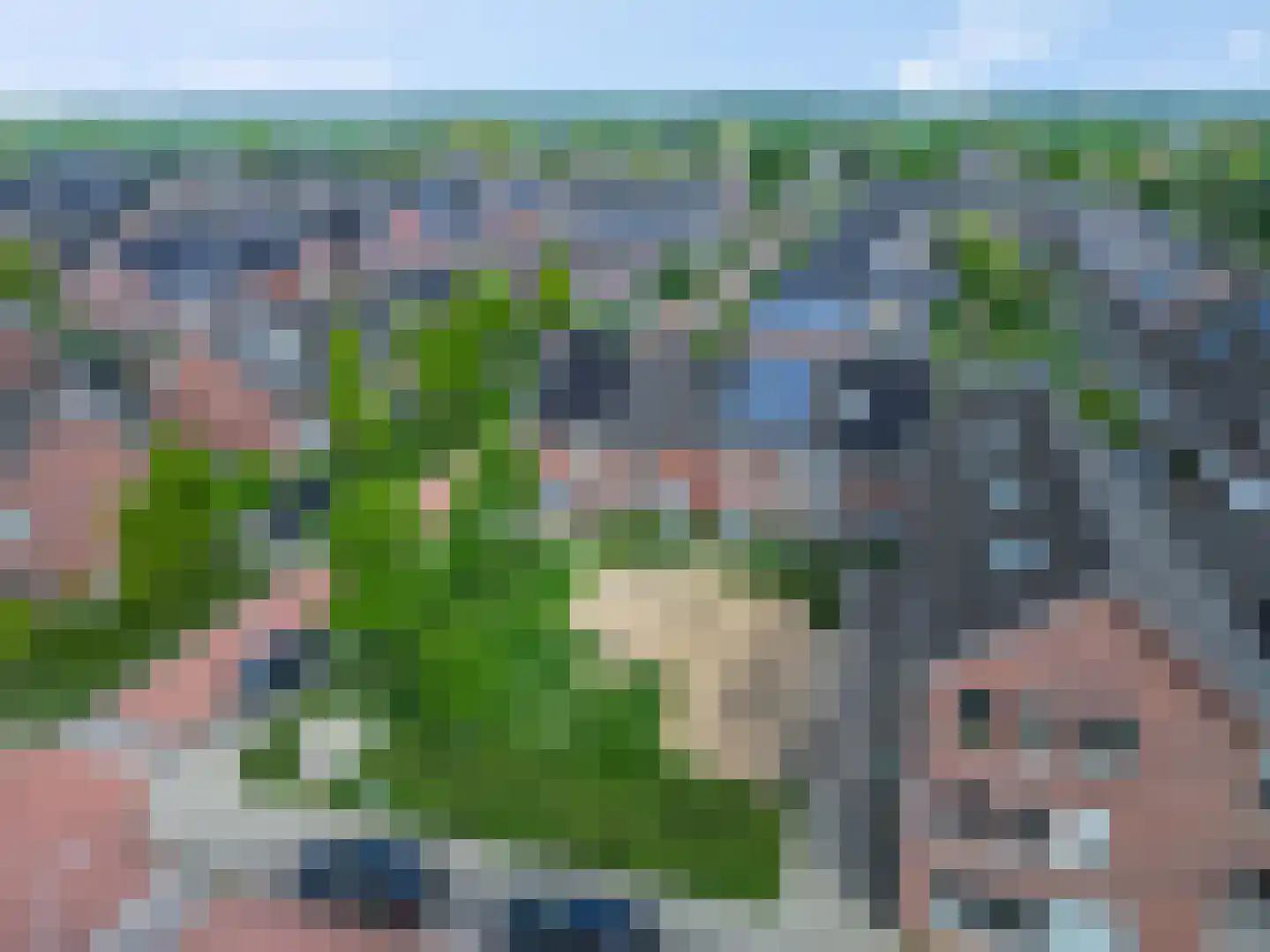 Ganzenvoet 15 Driel thumbnail 35