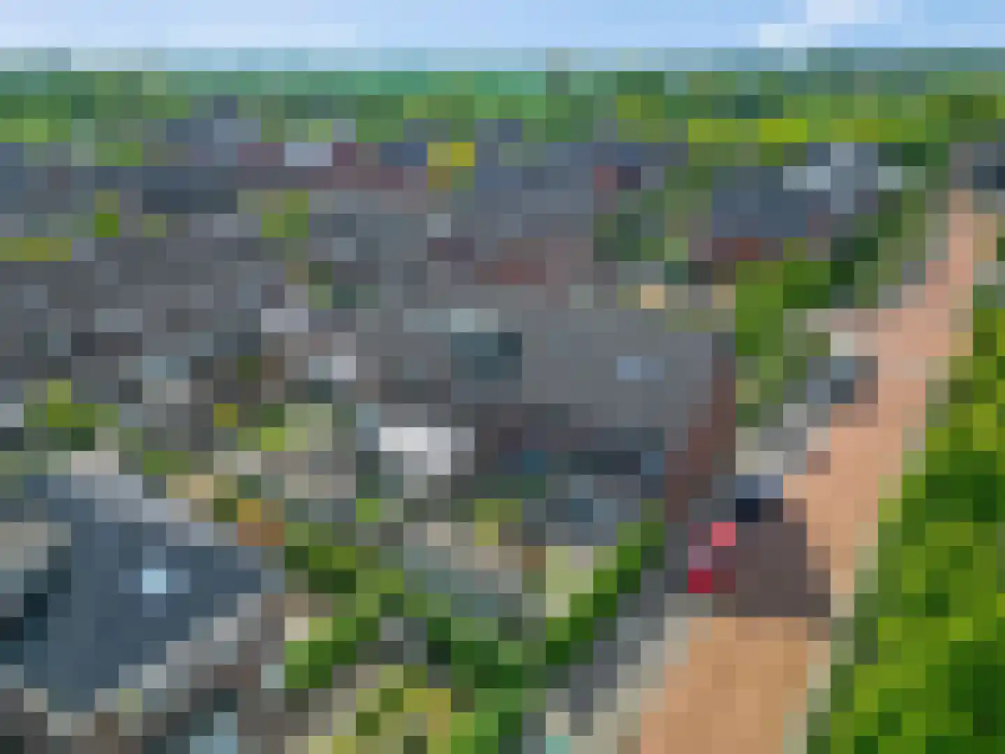 Ganzenvoet 15 Driel thumbnail 4