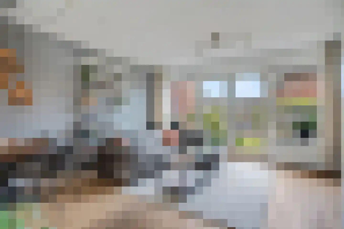 Ganzenvoet 15 Driel thumbnail 6