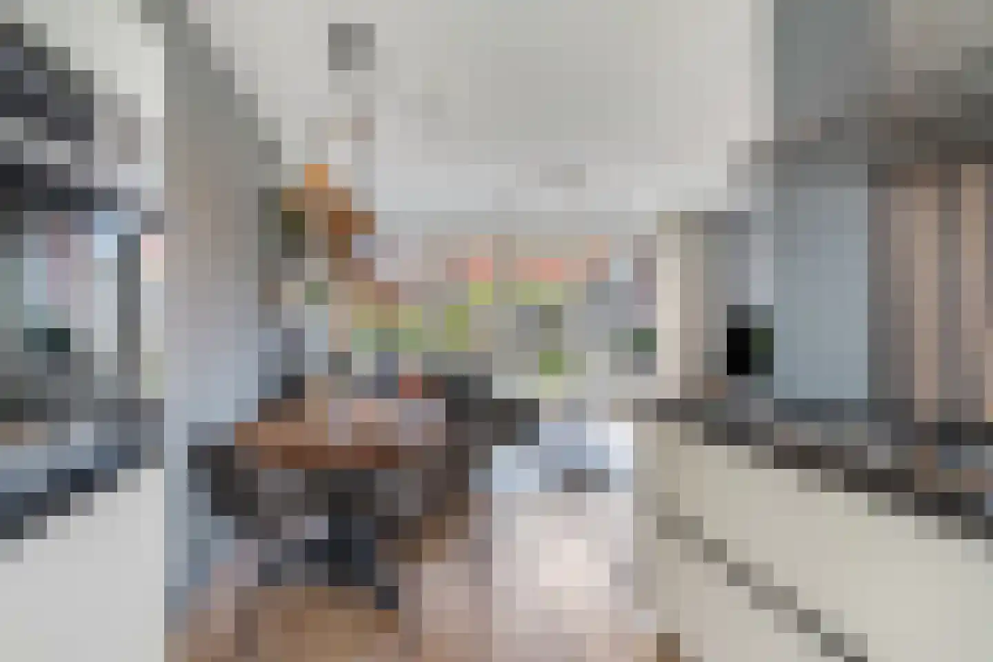 Ganzenvoet 15 Driel thumbnail 8