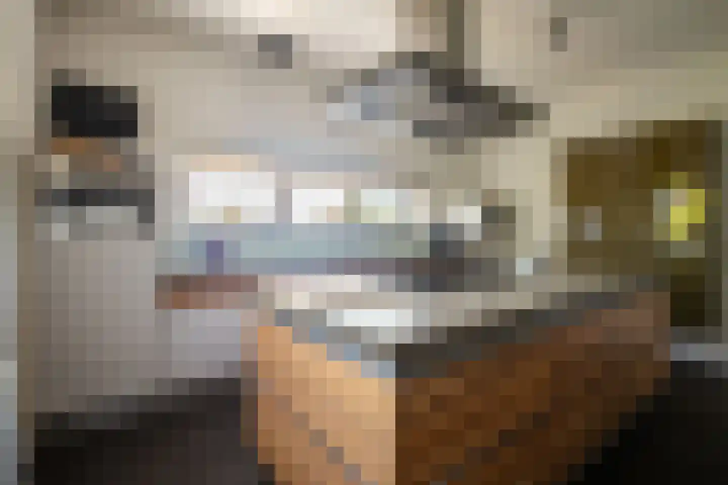 Ganzenvoet 68 Heerlen thumbnail 5