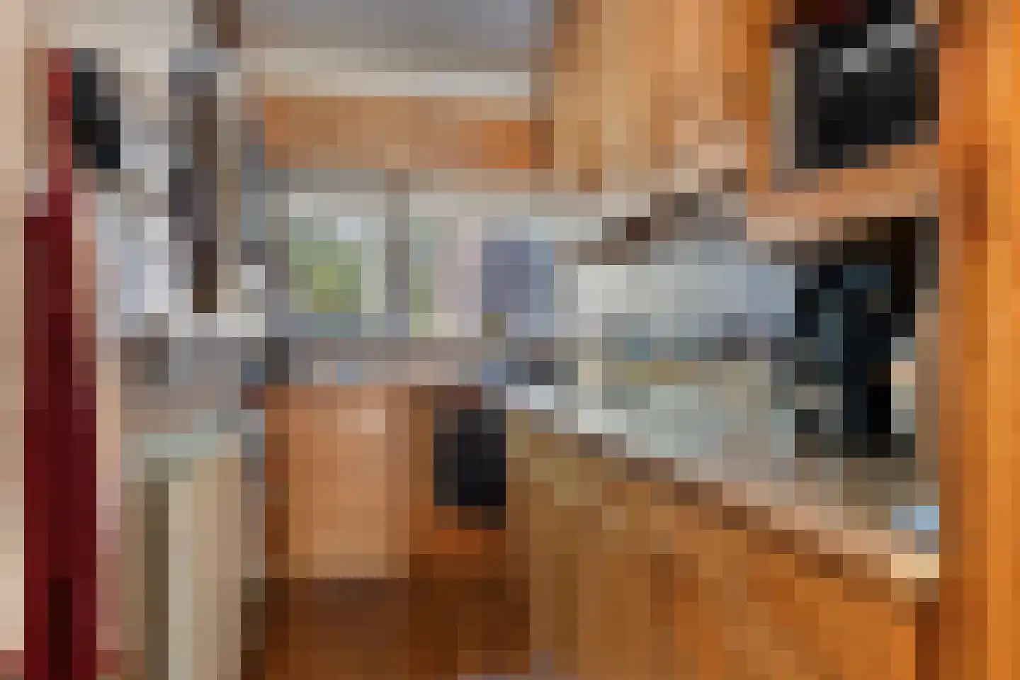 Ganzenweel 10 Terheijden thumbnail 12