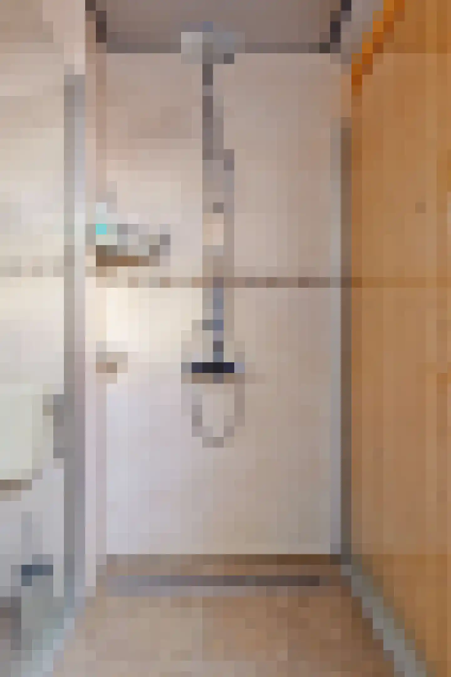 Ganzenweel 10 Terheijden thumbnail 17