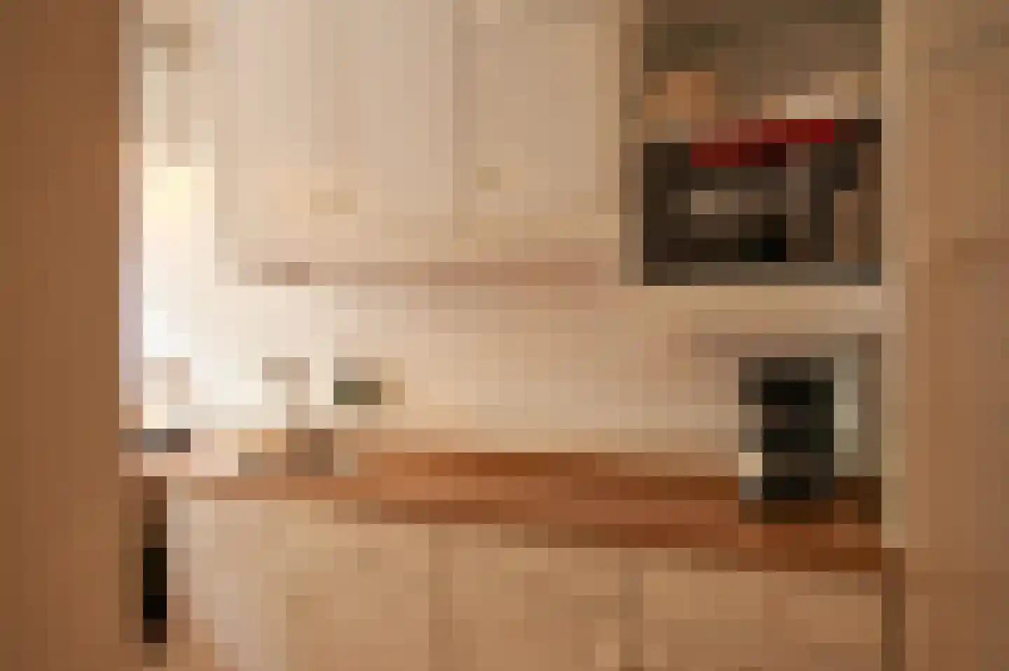 Ganzenweel 10 Terheijden thumbnail 17