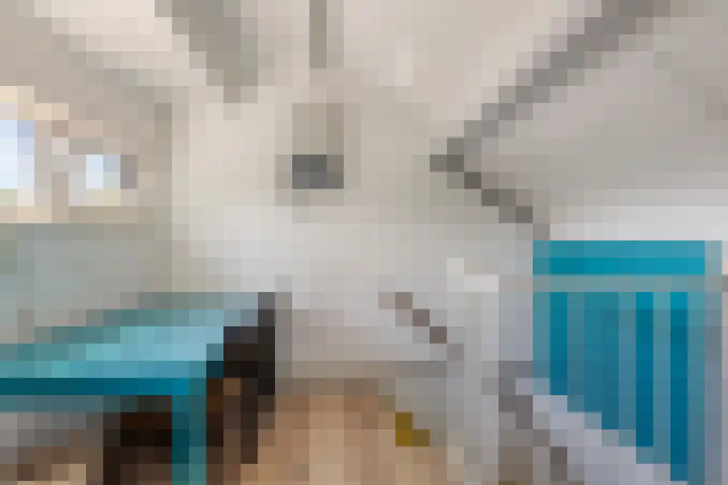 Ganzenweel 10 Terheijden thumbnail 23