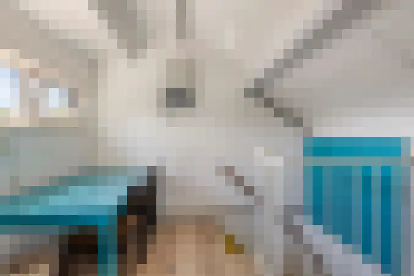 Ganzenweel 10 Terheijden thumbnail 25