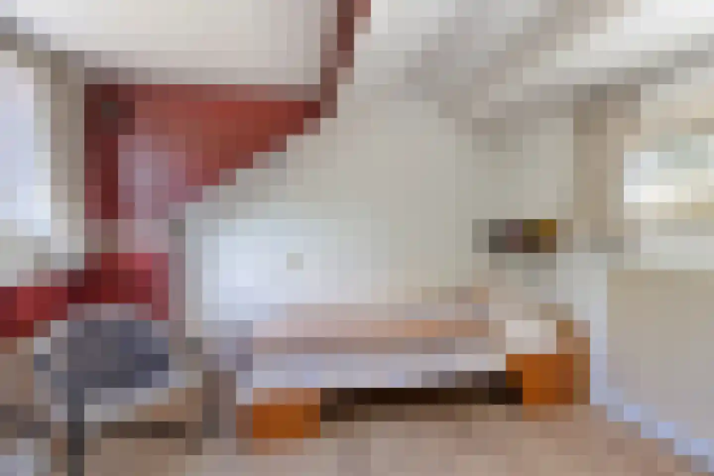 Ganzenweel 10 Terheijden thumbnail 26