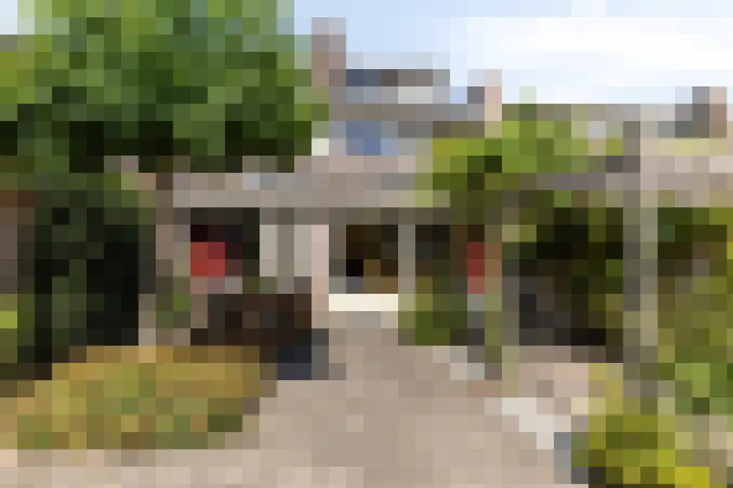 Ganzenweel 10 Terheijden thumbnail 29