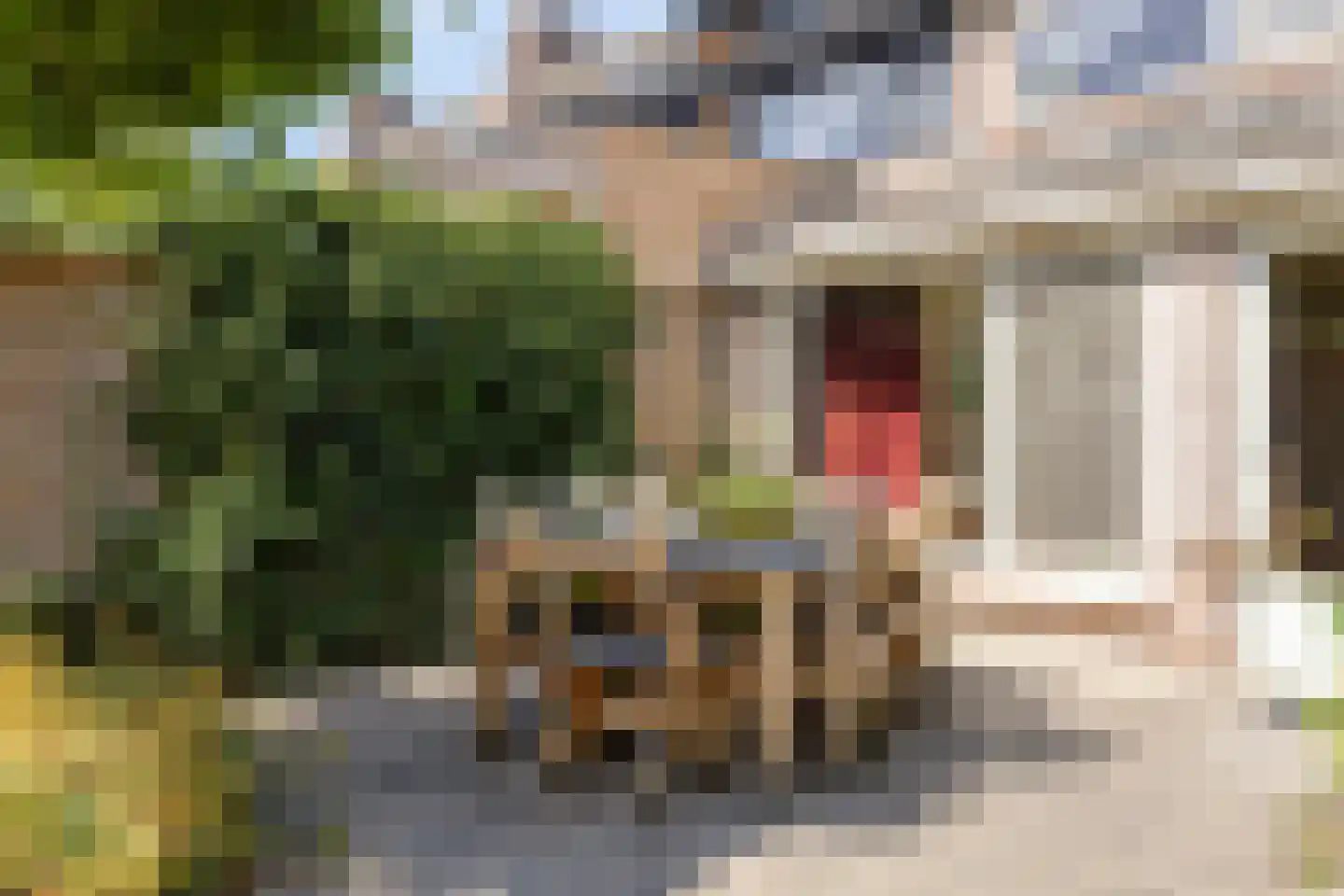 Ganzenweel 10 Terheijden thumbnail 30