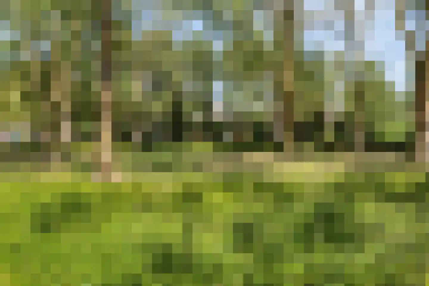 Ganzenweel 10 Terheijden thumbnail 31