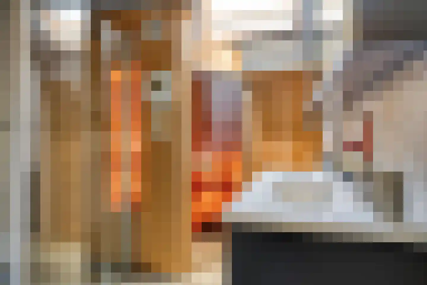 Ganzenweel 10 Terheijden thumbnail 5