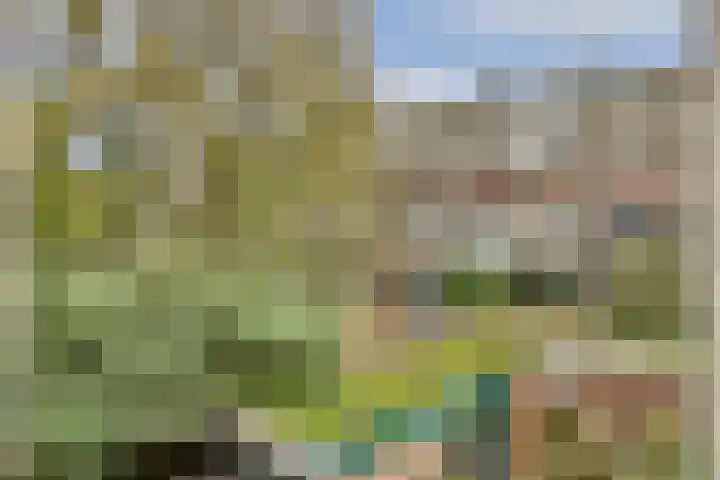 Ganzenweg 18 Amsterdam thumbnail 13