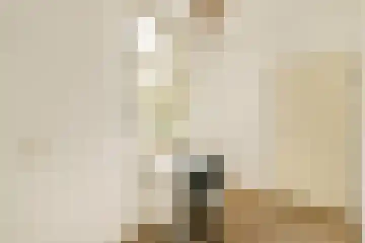 Ganzenweg 18 Amsterdam thumbnail 14