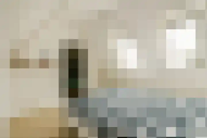 Ganzenweg 18 Amsterdam thumbnail 20