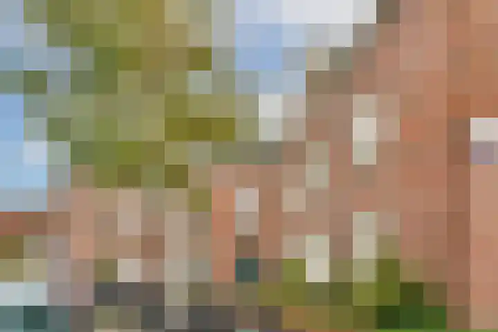 Ganzenweg 18 Amsterdam thumbnail 28