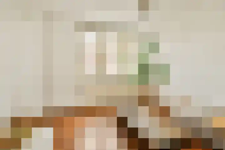 Ganzenweg 18 Amsterdam thumbnail 6