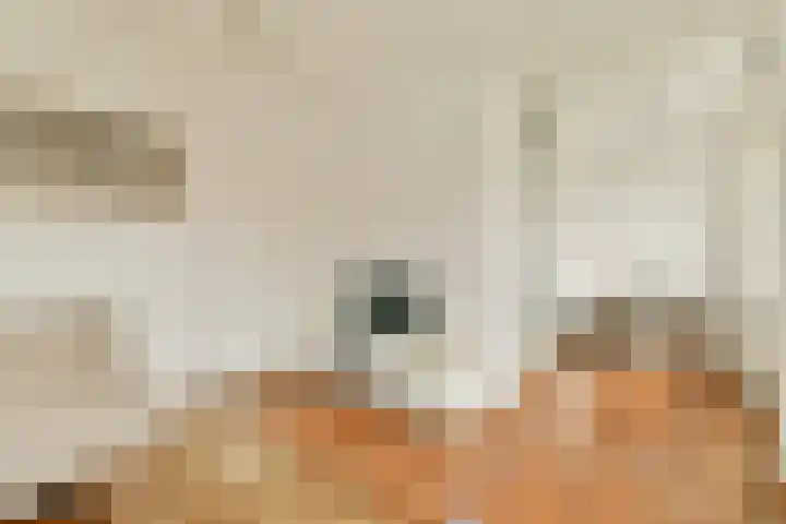 Ganzenweg 18 Amsterdam thumbnail 7