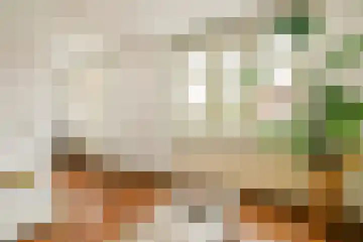 Ganzenweg 18 Amsterdam thumbnail 8
