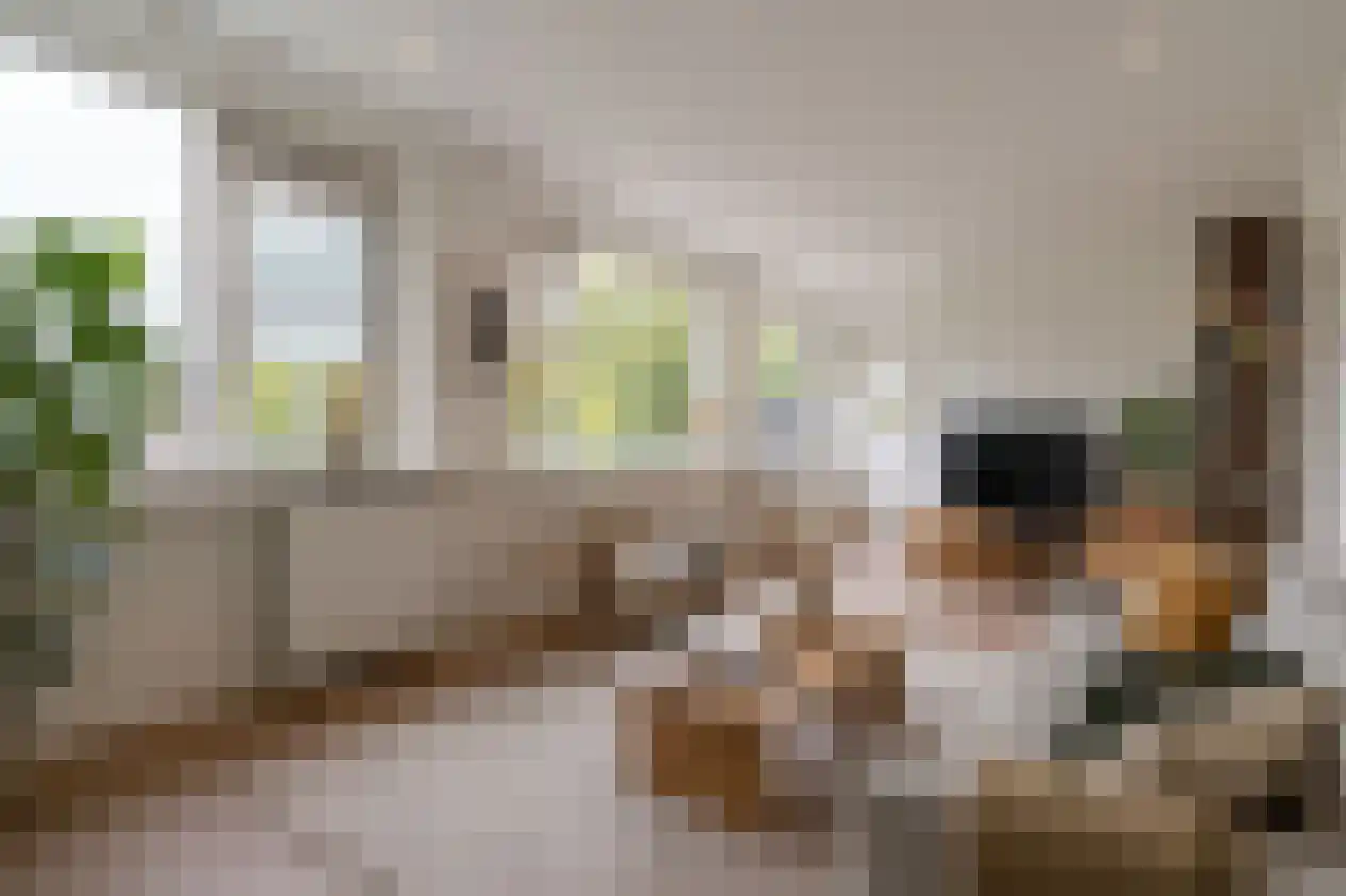 Ganzenweg 40 Apeldoorn thumbnail 14