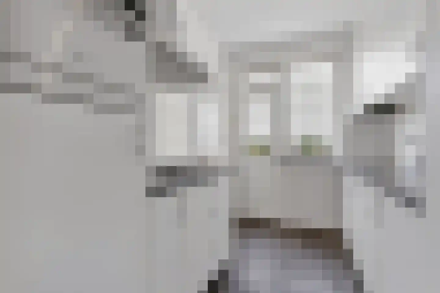Ganzenweg 40 Apeldoorn thumbnail 15