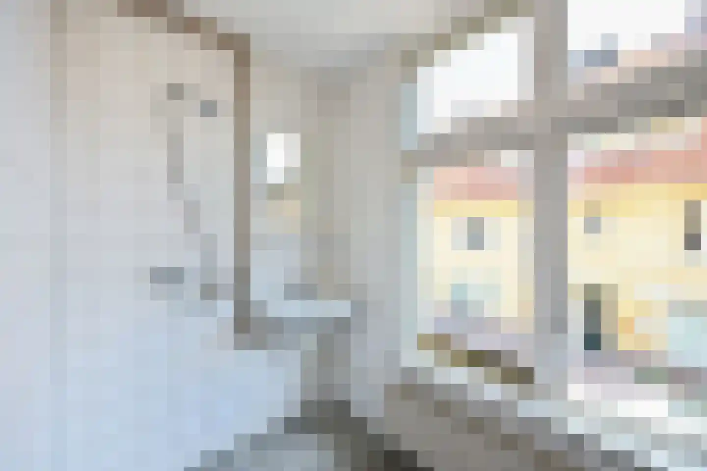 Ganzenweg 43 Amsterdam thumbnail 10