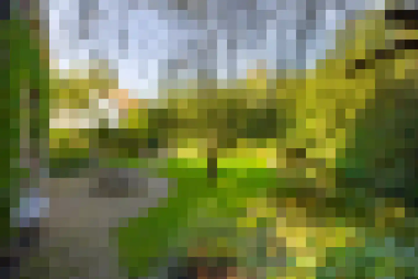 Ganzenwei 341 Warmond thumbnail 24