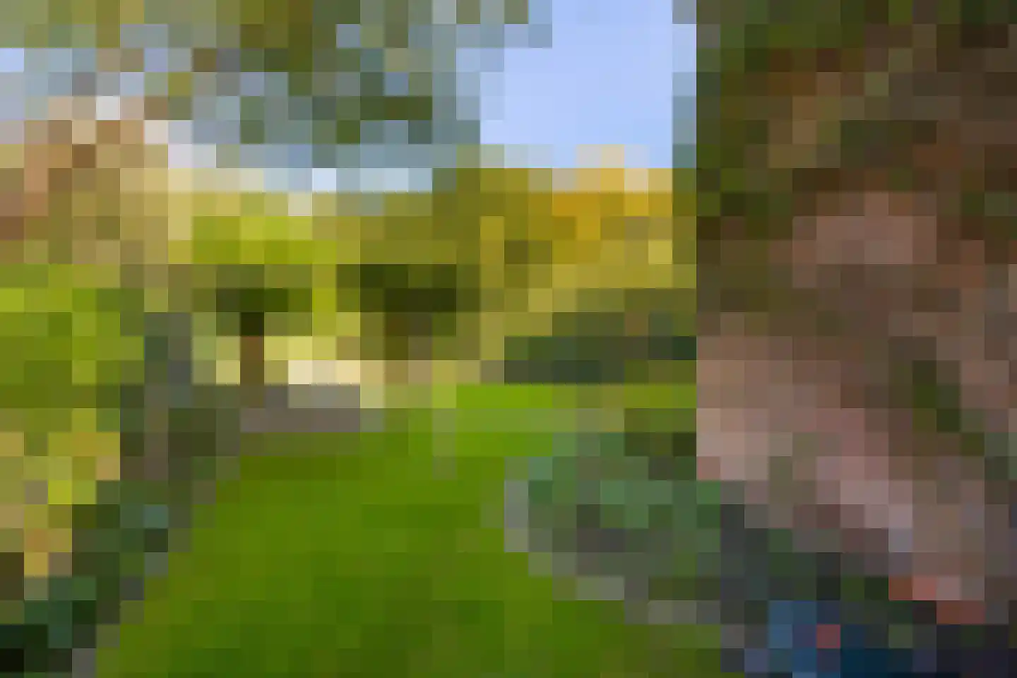 Ganzenwei 341 Warmond thumbnail 25
