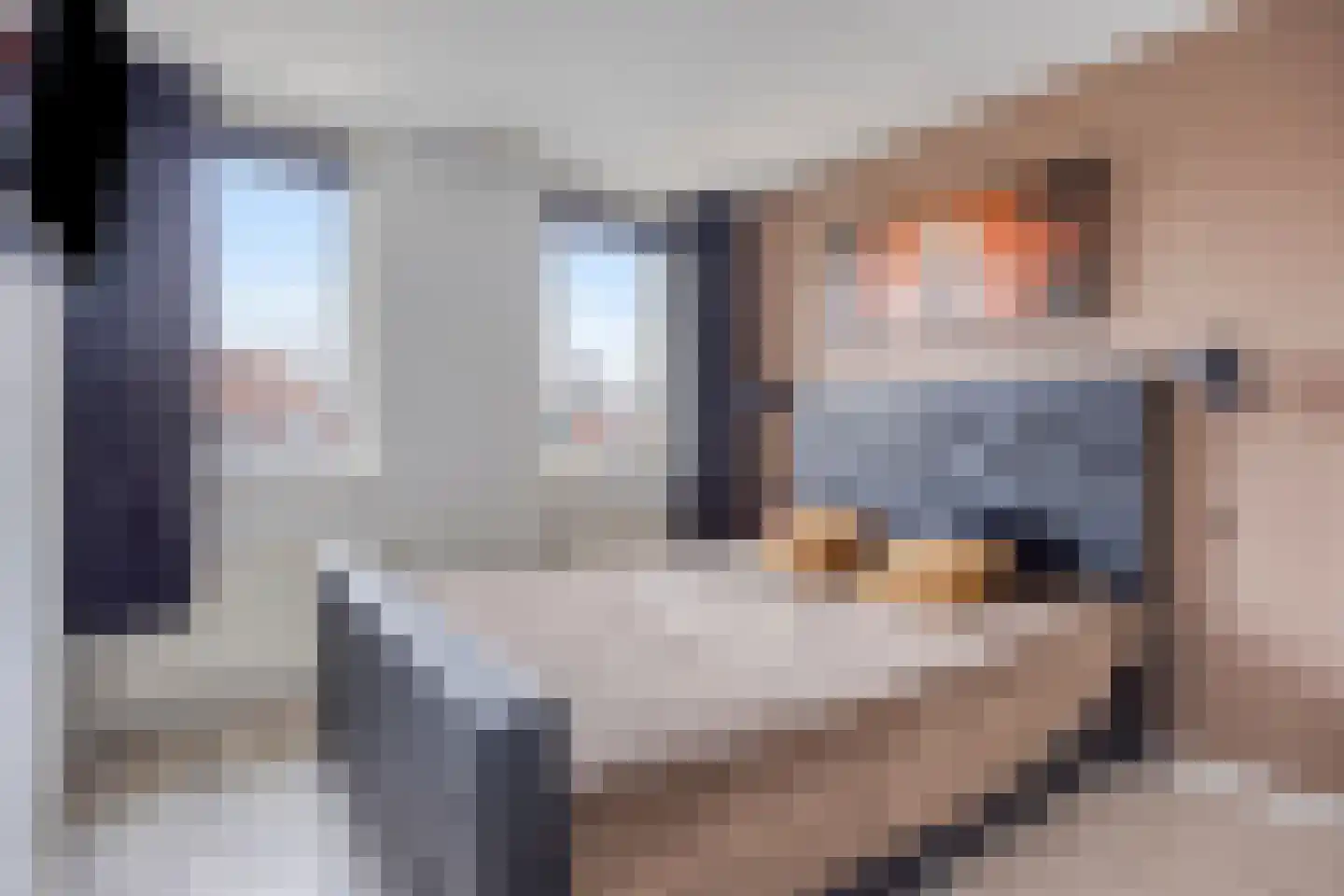 Ganzenwei 9 Gorinchem thumbnail 14