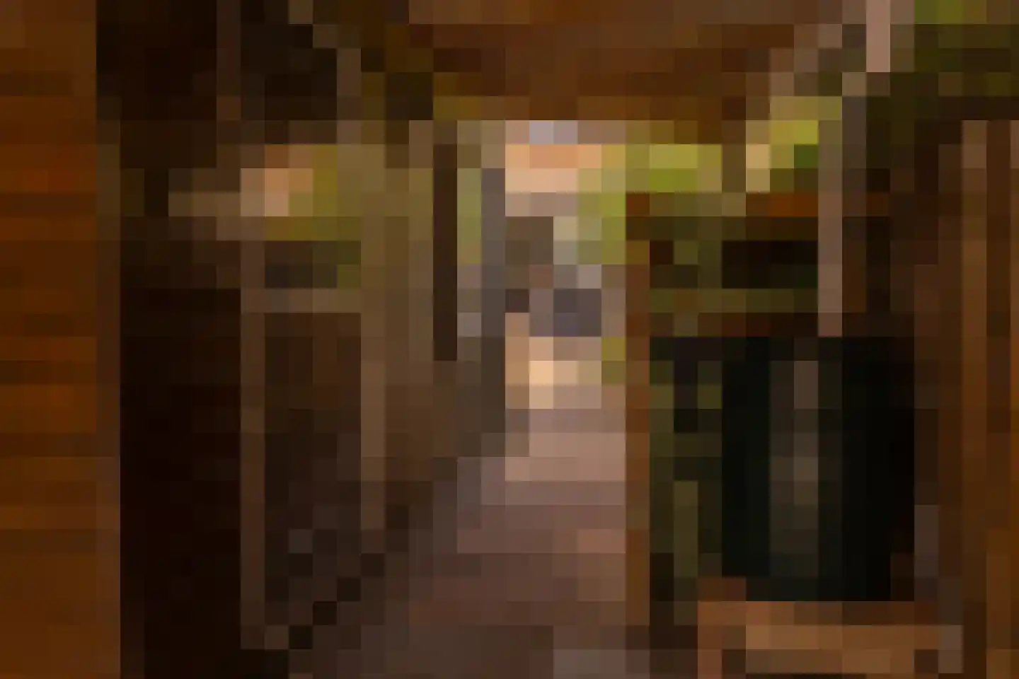 Ganzenwei 9 Gorinchem thumbnail 27