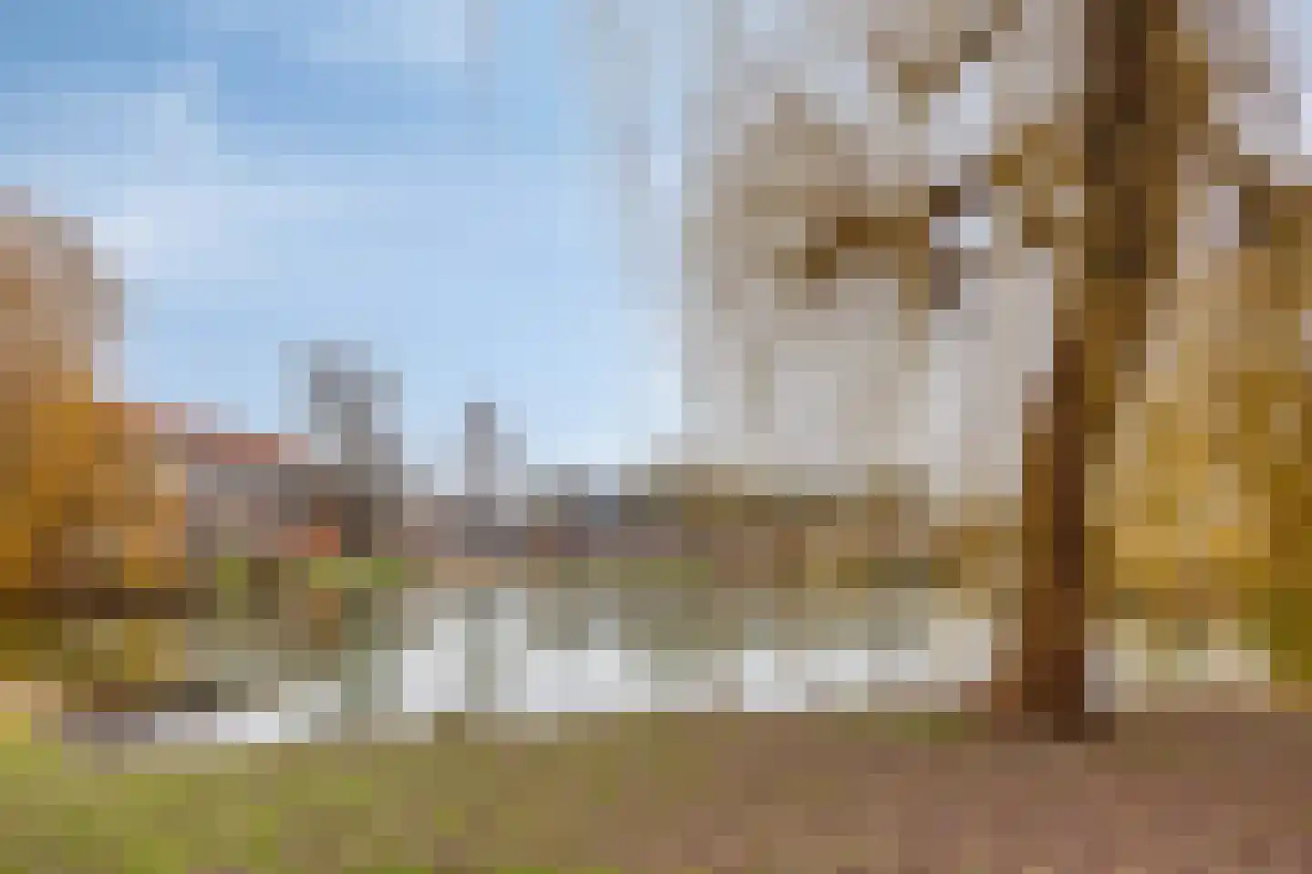 Ganzenwei 9 Gorinchem thumbnail 28
