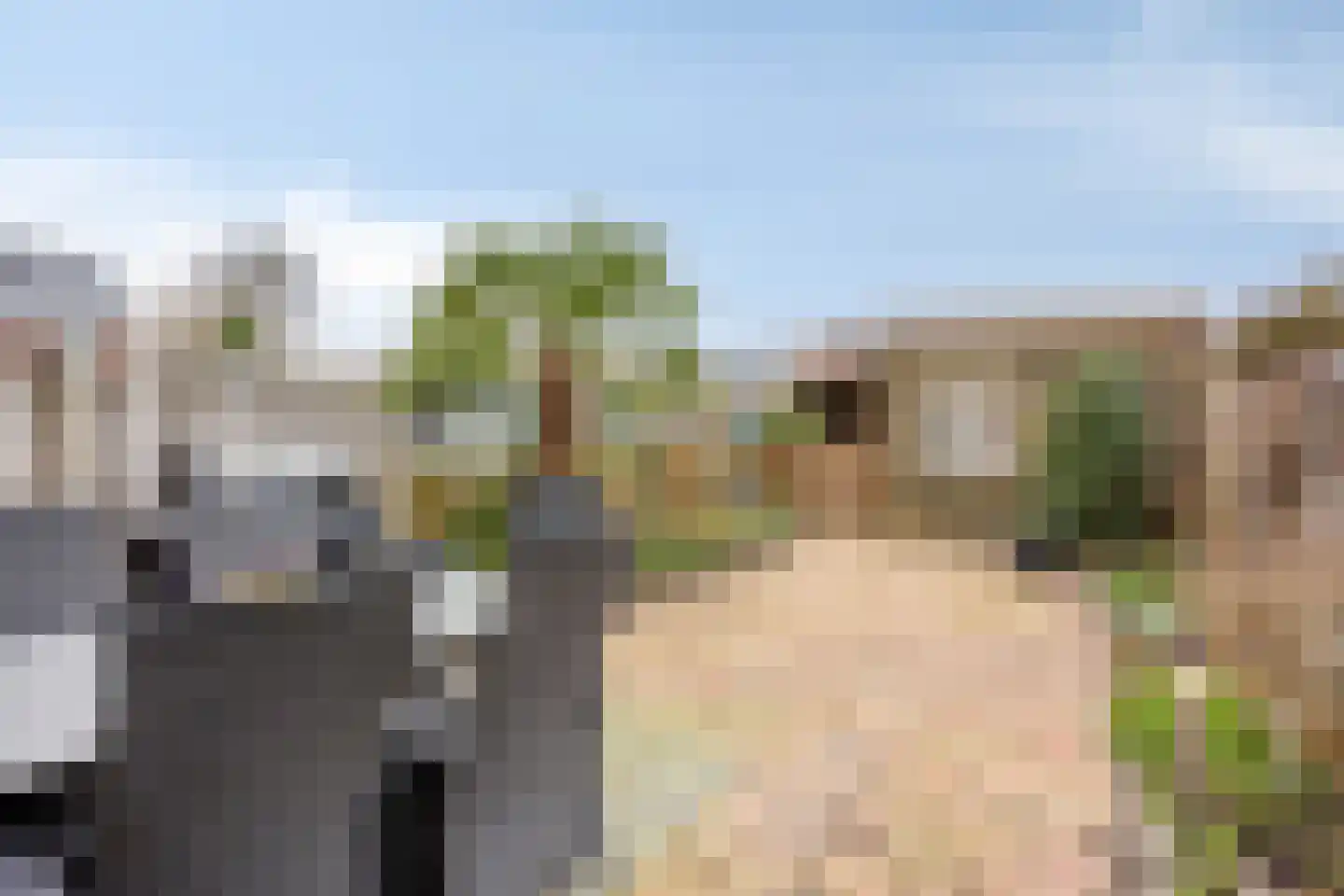 Ganzenwei 9 Gorinchem thumbnail 4