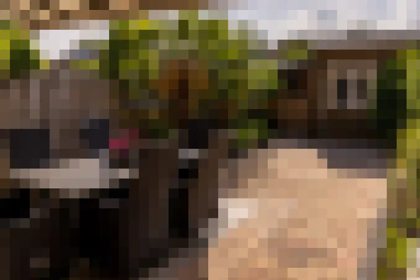 Ganzenwei 9 Gorinchem thumbnail 4