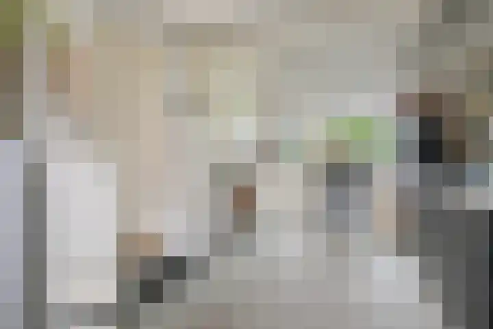 Ganzenweide 37 Heerenveen thumbnail 21
