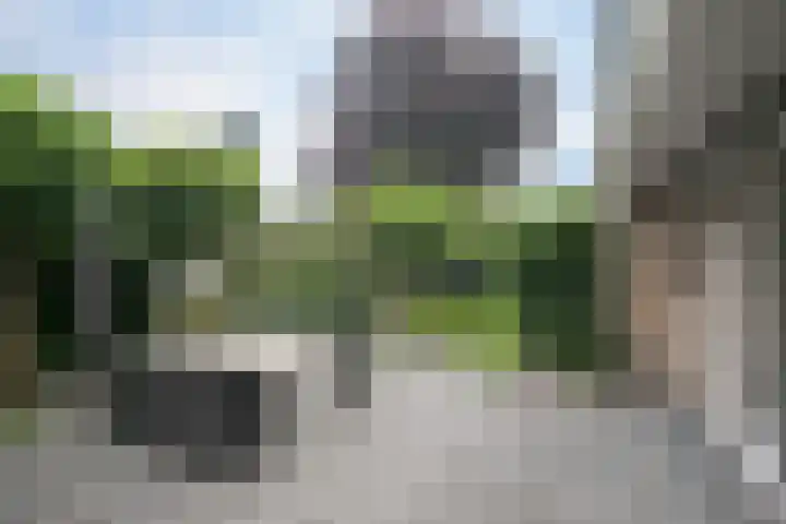 Ganzenweide 37 Heerenveen thumbnail 22