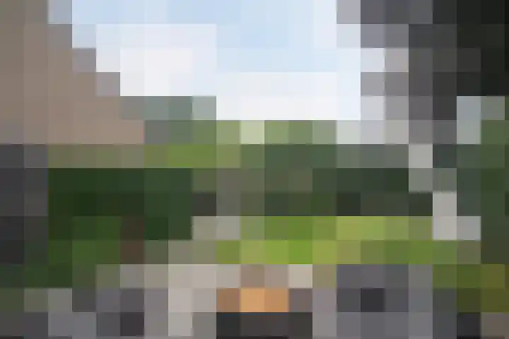 Ganzenweide 37 Heerenveen thumbnail 23