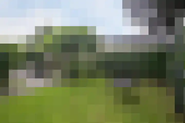 Ganzenweide 37 Heerenveen thumbnail 24