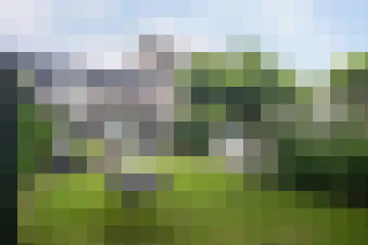 Ganzenweide 37 Heerenveen thumbnail 25