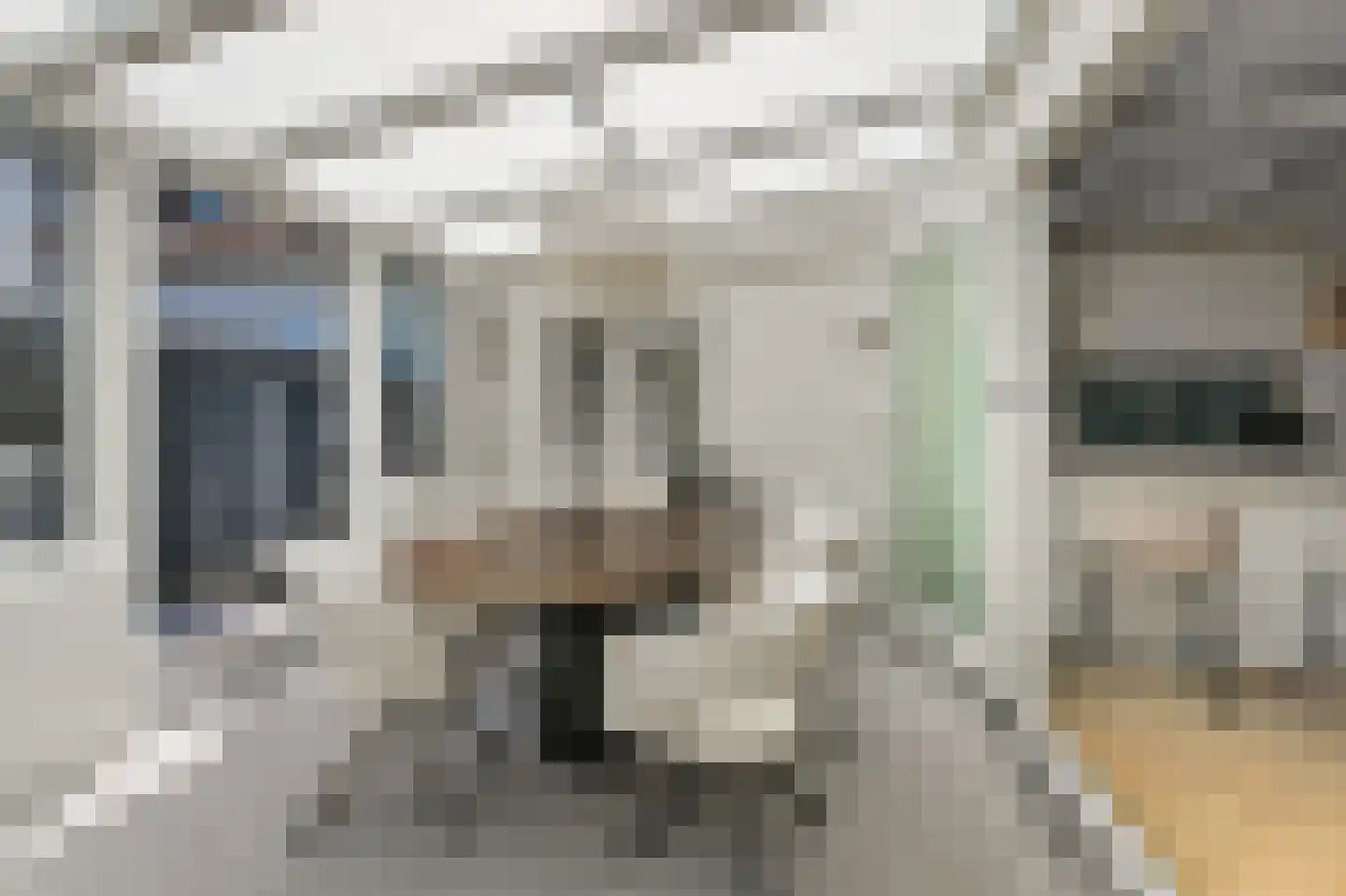 Ganzenwerfstraat 1 Zaandam thumbnail 11