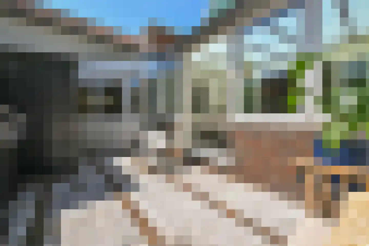 Ganzenwerfstraat 1 Zaandam thumbnail 12