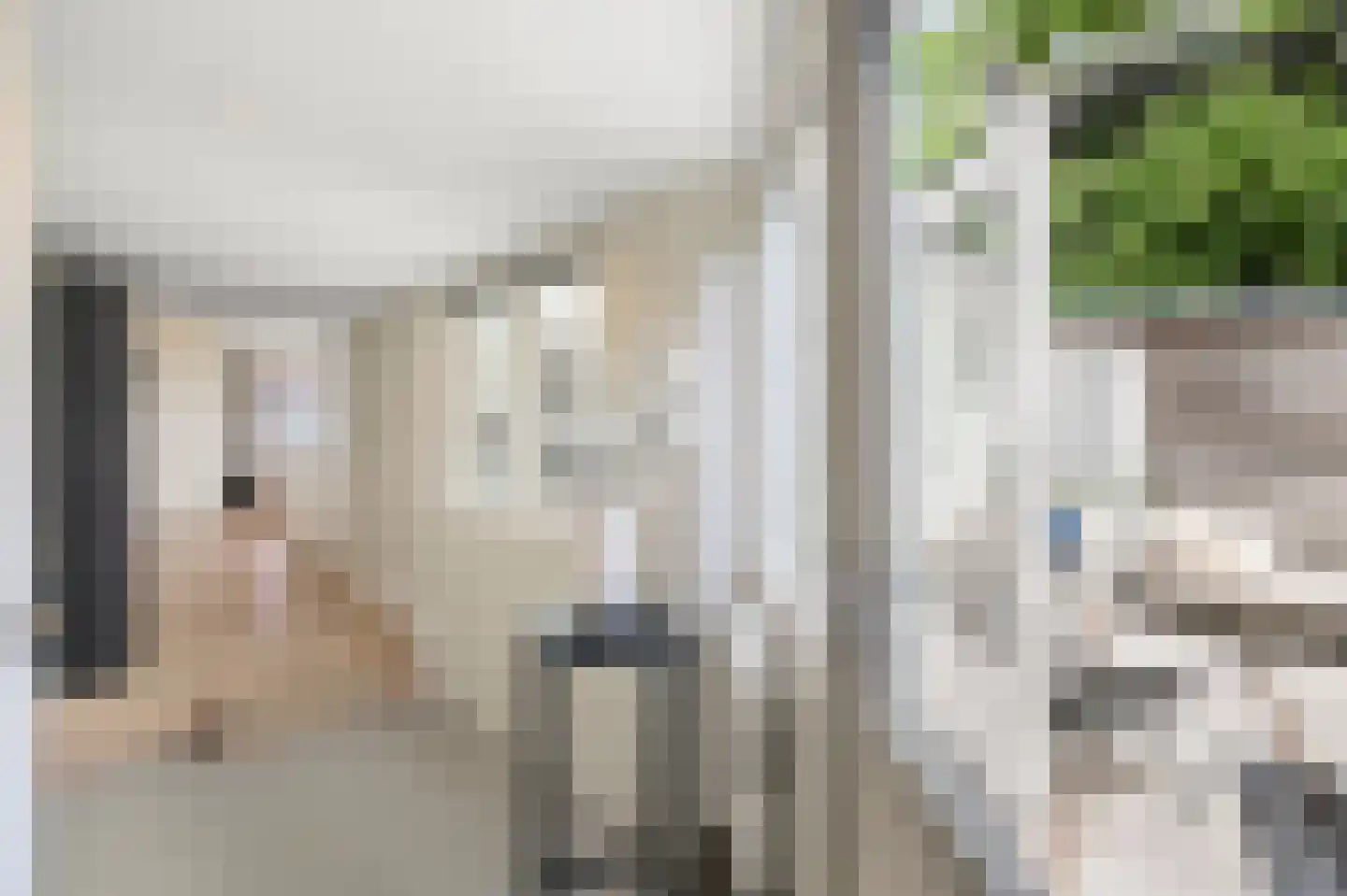 Ganzenwerfstraat 1 Zaandam thumbnail 17