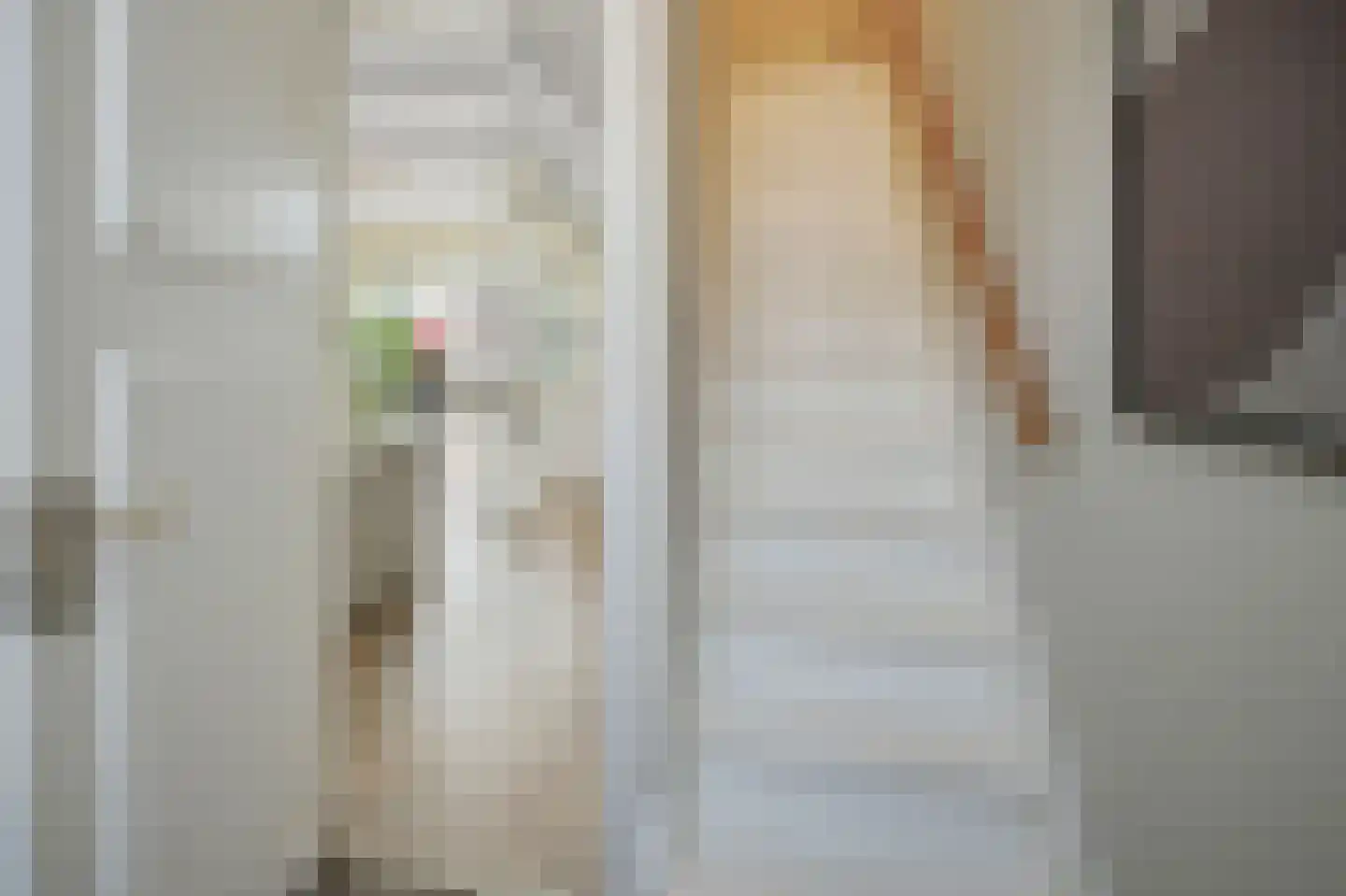 Ganzenwerfstraat 1 Zaandam thumbnail 26