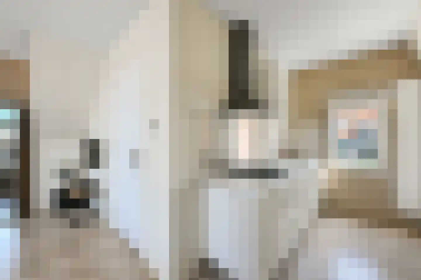 Ganzenwerfstraat 1 Zaandam thumbnail 28